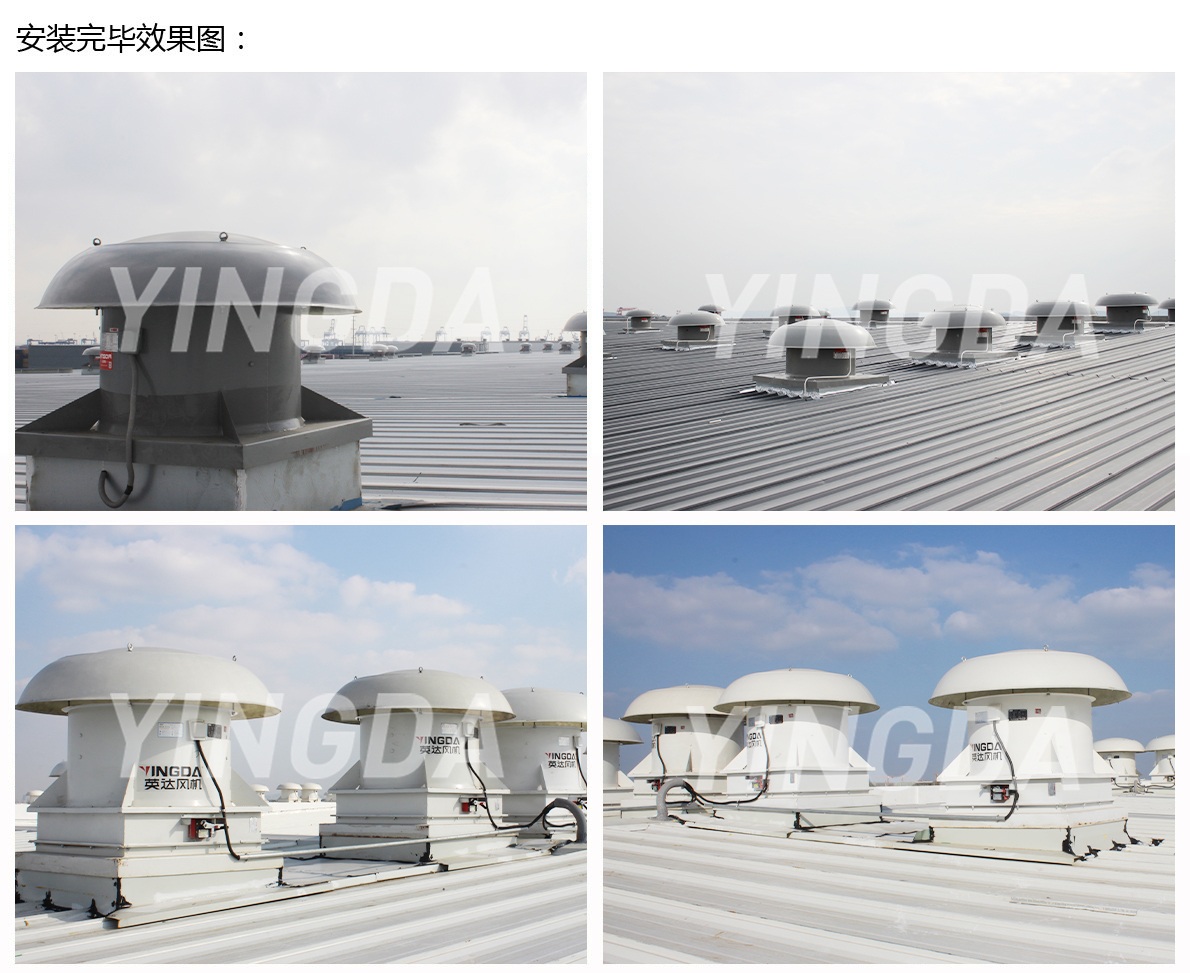 1678154882.jpg 1677813215.jpg